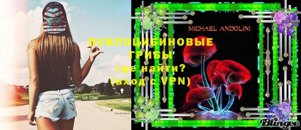 дурь Алексин