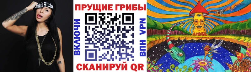 наркошоп  Лагань  Галлюциногенные грибы ЛСД 